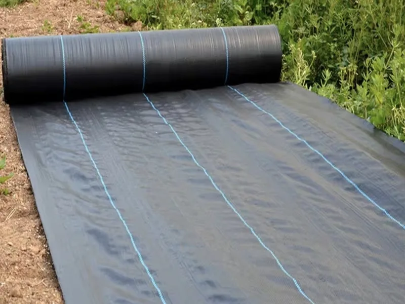A Tongfu Eco-Materials nagy teljesítményű biológiailag lebomló gyomvédő szövetet dob ​​piacra