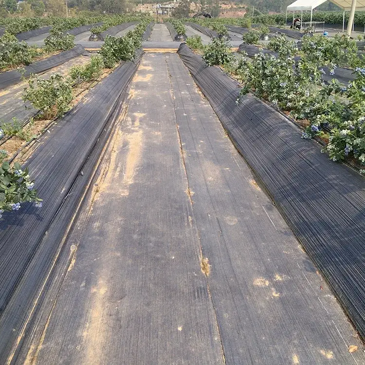 Agricultural Ground Cover Fabric