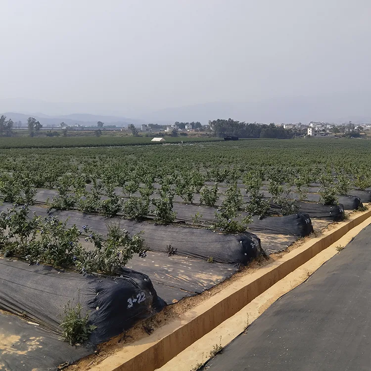 UV Resistant Landscape Fabric
